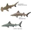 Carolata 3D Illustrated Guide to Sharks (12 Figures / Includes Instruction Manual and Stand) Realistic Toy (Educational Toy) Birthday Gift (Food Sanit