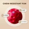 Dog Ball Toy Squeaky Dog Chew Toy Teeth Cleaning Toy Interactive Fetch Ball for Small Medium Dogs Puppy Teething