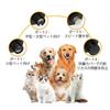 Flechazo Unha Elétrica para Cão e Gato 4 com Brinquedo Laser USB Baixo Baixo Lixa de Unha para Pet para e Cães Grandes Cortadores, Velocidades, Função Embutida, Recarregável,