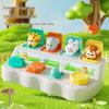 Peek-a-Boo Switch Box: Educational Cause and Effect Toy for Kids Aged 3-6 - Color Recognition Teaching Aid