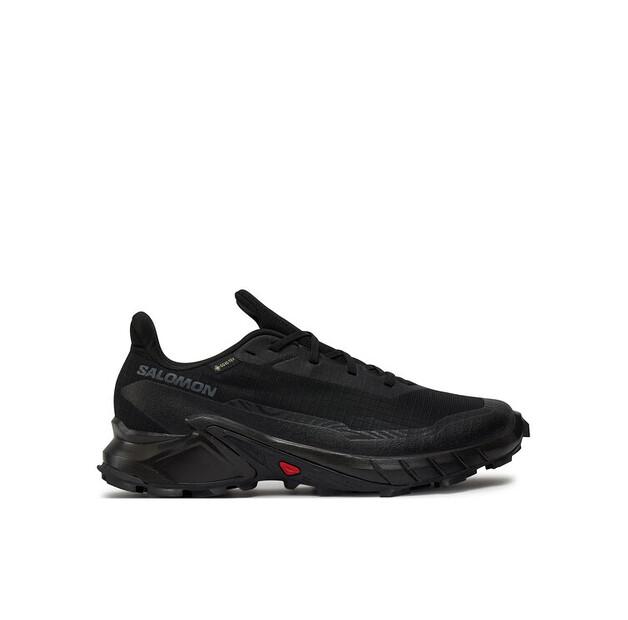 

Кроссовки для бега Salomon Alphacross 5 Gore-Tex EU 41_1_3