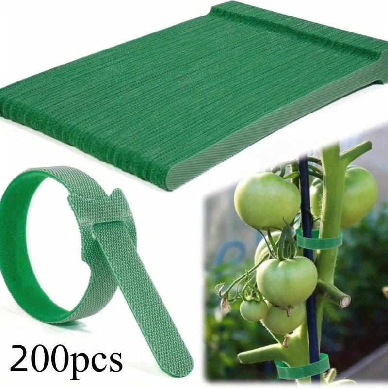 10/50/100/200pcs Reusable Adjustable Non-Slip Nylon Plant Ties with Hook and Loop Fasteners, Ideal for Gardening Applications