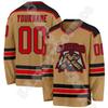 NewFashion Custom Name Logo Team Suits Retro Vintage Pullover 3DPrint Harajuku Casual Funny Long Sleeves Hockey Jersey Shirts 13