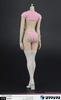 ZYTOYS ZY5027B Beautiful Sexy Female Cat Clothes Set for Action Figure and Head Not [TOYBARJAPAN] 1/6 (Body Included)