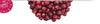 Whole Freeze-dried Cherry Delicious Fruit - 100g