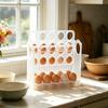 Egg Storage Box Side Door Of Refrigerator Storage Organizer Kitchen Reversible Special Egg Storage Tray Kitchen Accessories