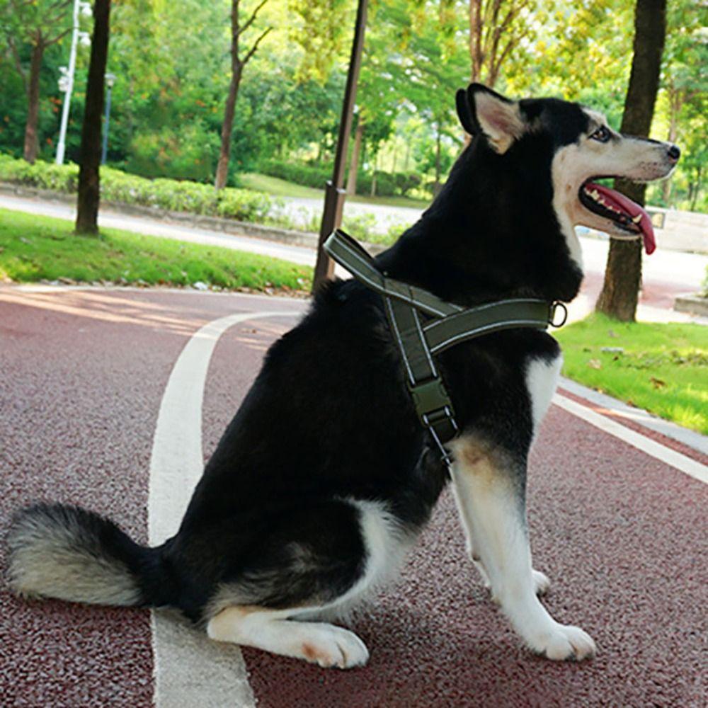 Adjustable Pet Walking Harness Vest with Reflective Strips Dog Harness  Dog Training