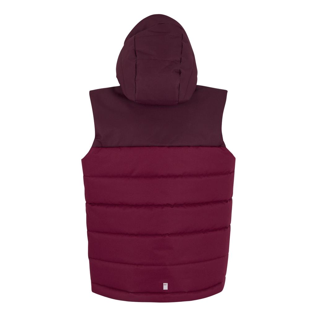 Regatta Childrens/Kids Lofthouse Body Warmer