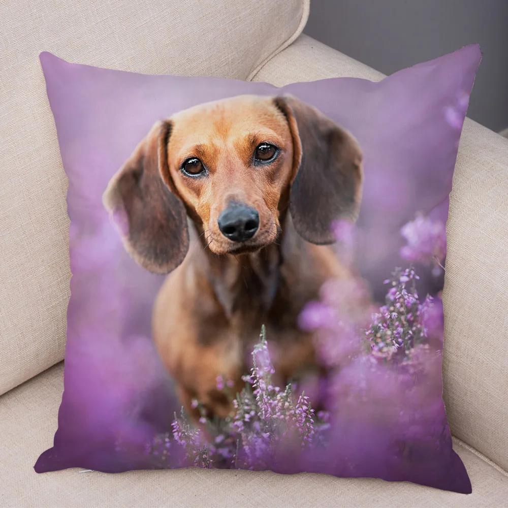 Mini Dackel Hund Kissenbezug Dekor Haustier Tier Kissenbezüge Superweicher Plüsch Kissenbezug für Sofa Zuhause Kinderzimmer 45x45cm
