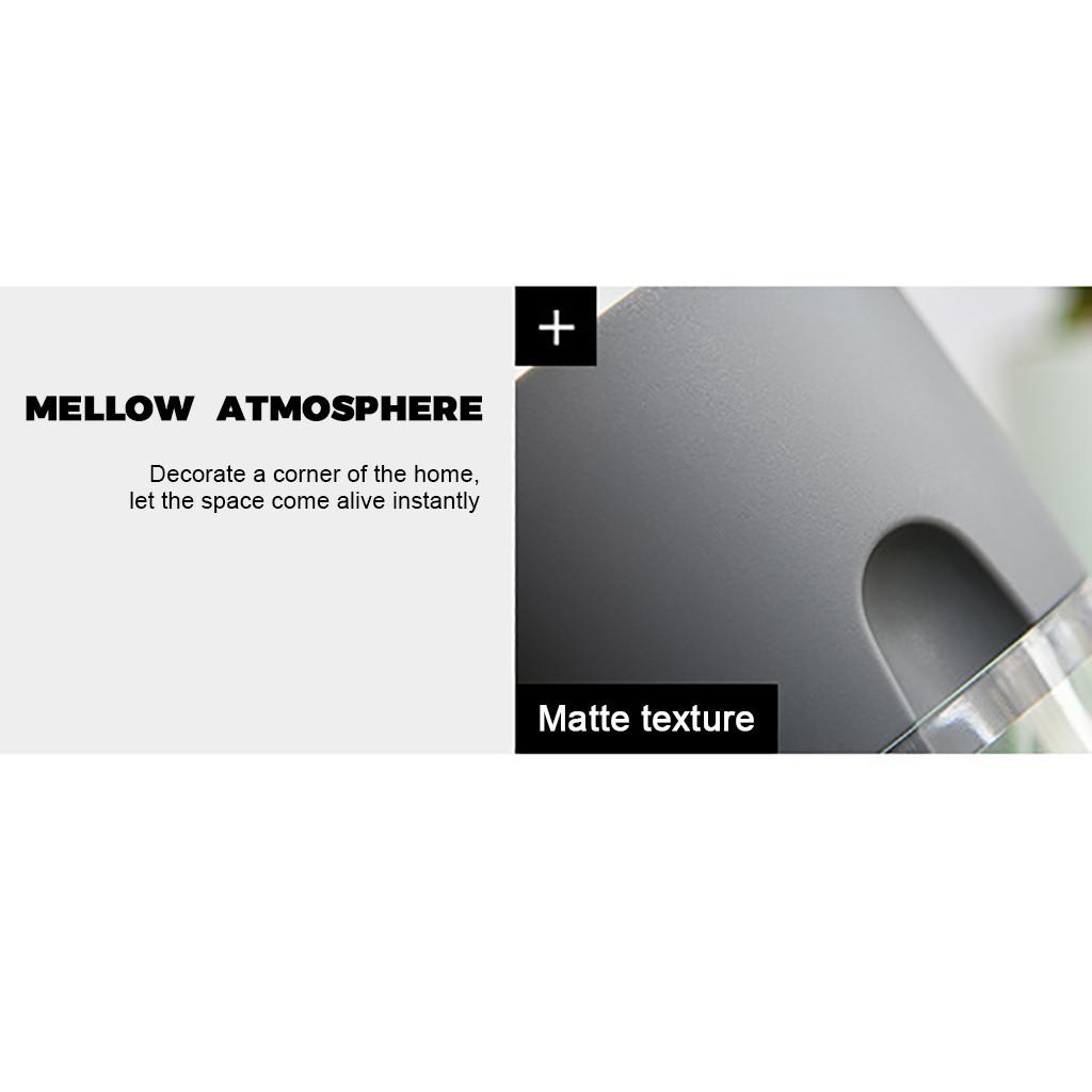 Lazy Flower Pot Automatic Water Absorption Plastic Pot Green Plant Water Culture