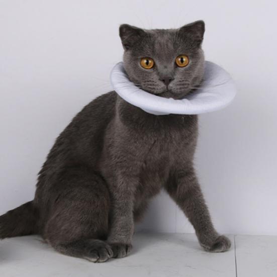 Krage for kjæledyr etter operasjon Justerbar hundekatt nakkekjegle Myk anti-slikking beskyttende skjold for sårheling