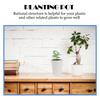 2Pcs Plastic Planting Pots Sturdy Succulent with Drainage and Air Inlet Flower Pots for Garden Home Yard Use