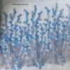 Children's 3D Flower Embroidered Organza Fabric In Stock
