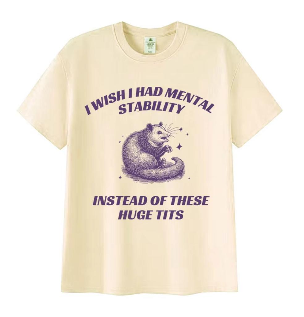 Funny I Wish I Had Mental Stability Racoon Meme T Shirts Men's Women Casual High Quality Oversized Cotton T-shirt Harajuku Tops