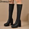 Platform Thick Heel Women Knee High Boots Fashion Slip On Shoes Autumn Winter Ladies Elegant Stretch Slim Long Booties