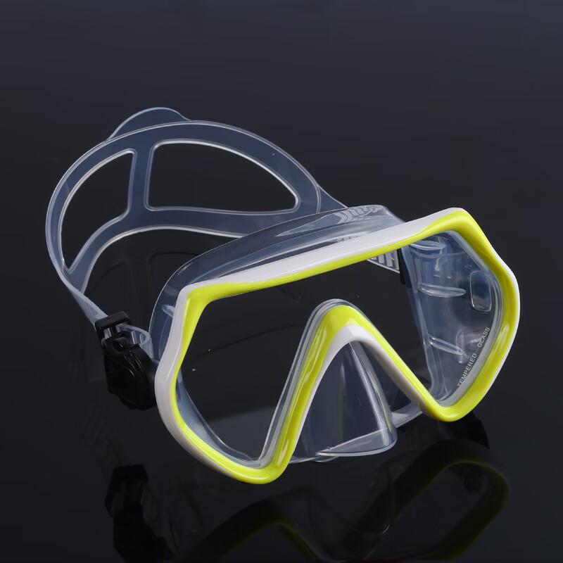 Alliance Messenger Large Frame Swim Goggles
