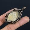Fossil Coral 999 Copper Wire Wrapped Pendant Handmade Gemstone Jewelry, Gifts For Wife Brand New Jewelry Pendant