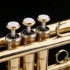 3pack Professional Trumpet Repair Part Trumpet Valves Finger Button Cap Replacements for Trumpeters Students