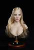 [TOYBARJAPAN] 1/6 Scale Action Figure Head for SUPER DUCK SDH018 TBLeague Body, Office Lady, Beautiful Female Head (Body and Clothes Not Included) (B)