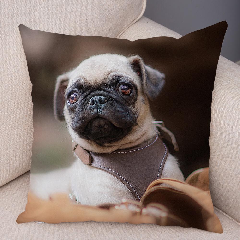 

Cute Pug Dog Cushion Cover Both Sided Print Decor Pet Animal Pillowcase for Car Sofa Home Car Soft Plush Throw Pillow Case 40x40cm16x16Inch