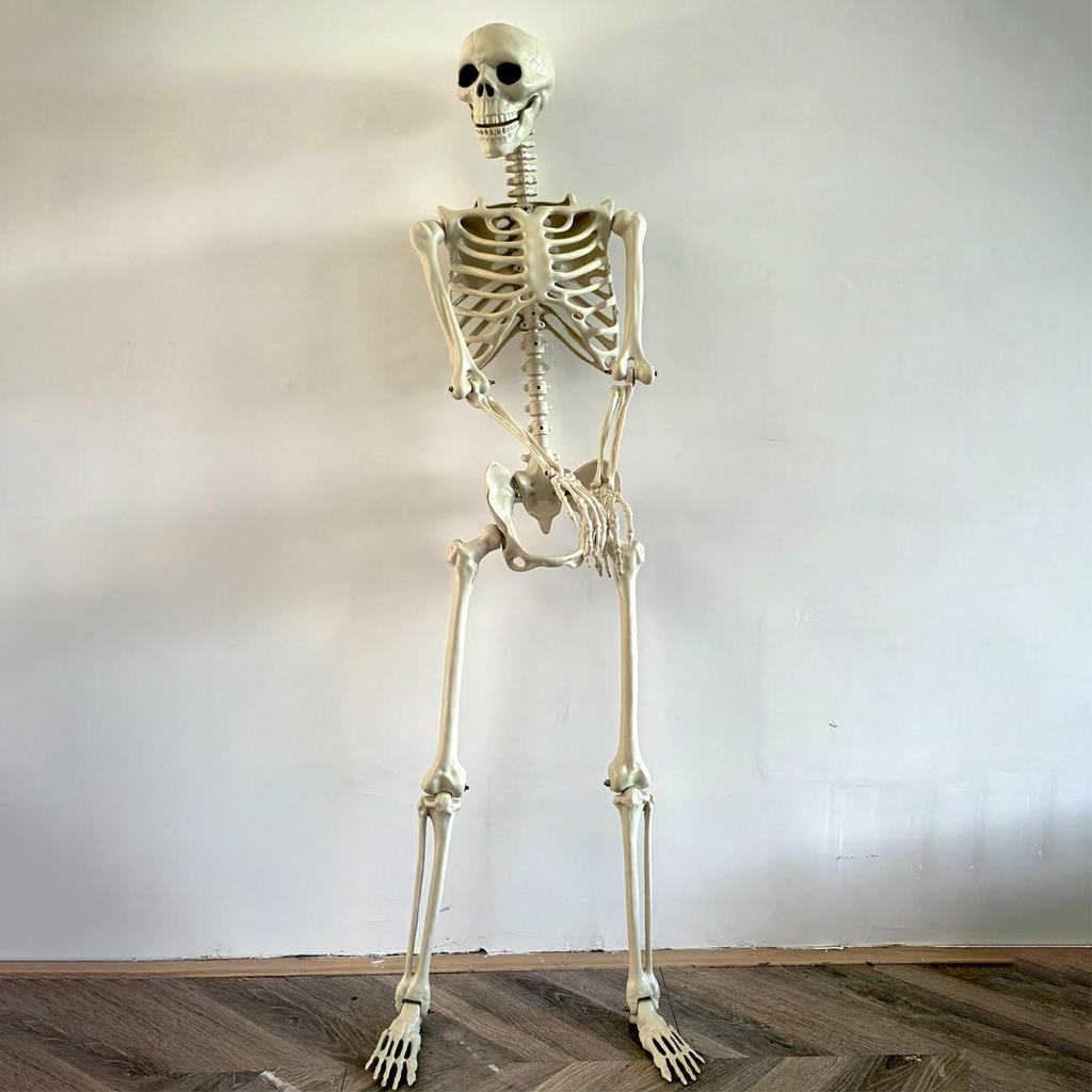 Halloween Outdoor Skeletons Realistic Posable Skeleton With Movable Joints Weather-Resistant Outdoor Decorations Spooky Photo