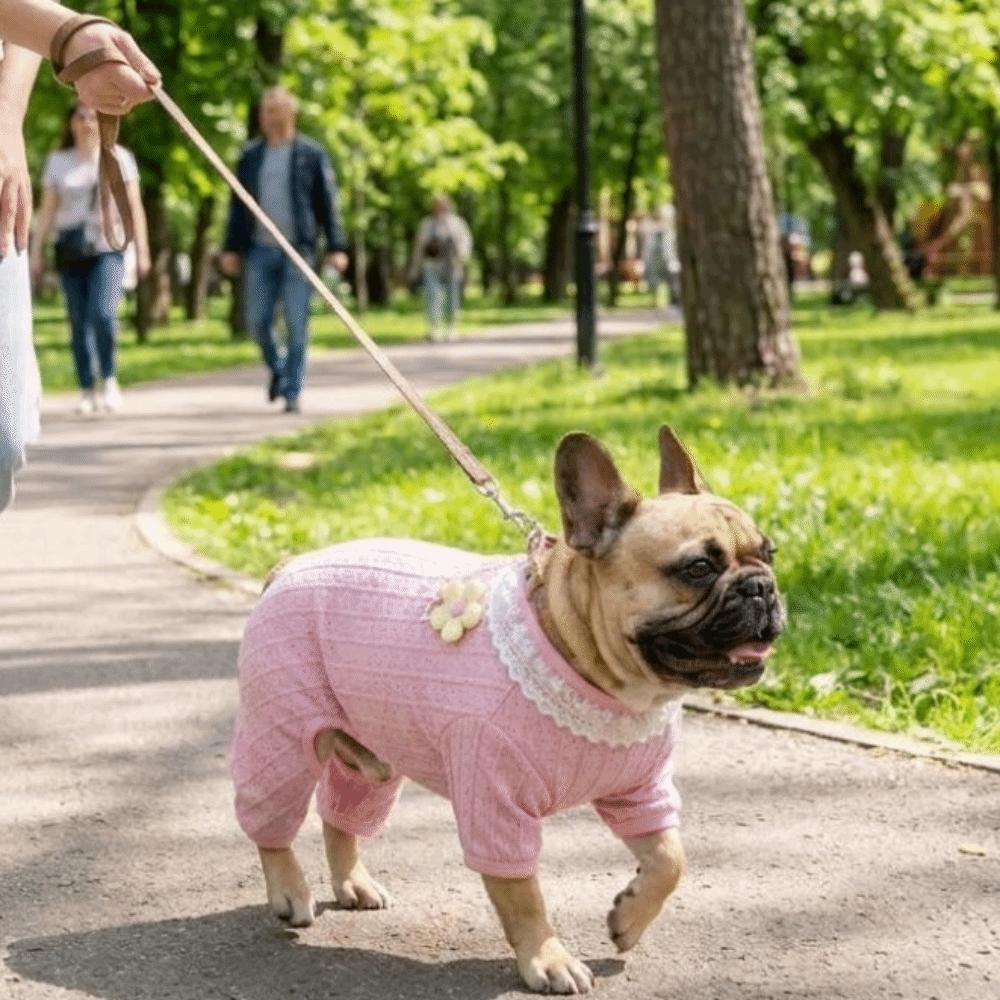 Anti-Mosquito Dog Cooling Clothes Hollow Mesh Dog Sun-proof Jumpsuit Outdoor Walking