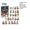 Decorative Acrylic Patches Guinea Pig Advent Calendar, 24Pcs 2D Ornament Set with Holiday Box for Teens Christmas Outfits, Tree Hanging Decor,