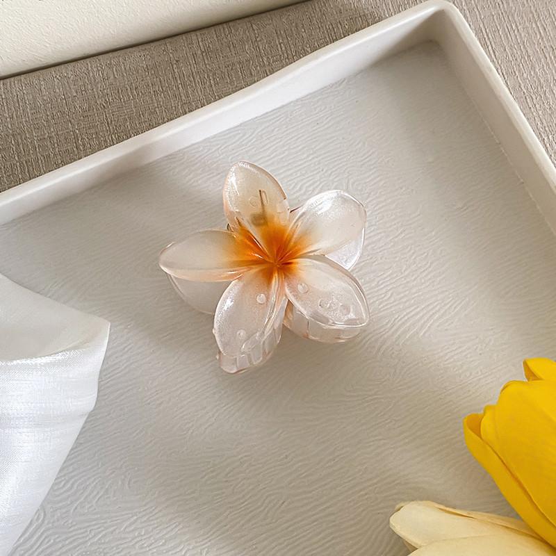6cm Acryl Farbverlauf Frangipani Haarspange Damen Koreanisch Süß Haifischclip Haaraccessoires