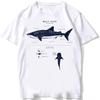 Beach Diving White Tshirt Vintage Whale Shark Anatomy Biology Tshirt Unisex Casual T Shirts Aesthetic Clothes