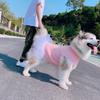 Dog Clothes Spring Summer Thin Pet Parent-Child Puffy Skirt Shirt Teddy Cat Bulldog Golden Retriever Alaskan Malamute Wholesale