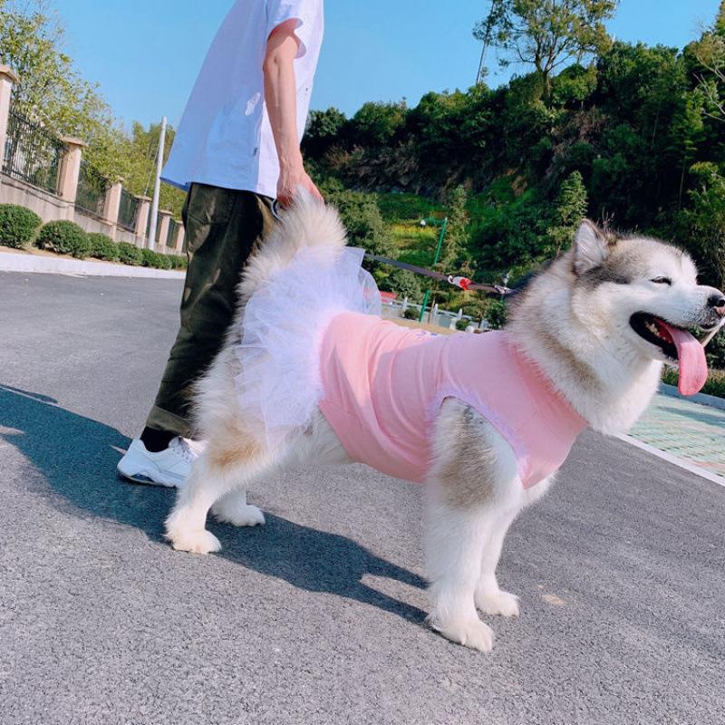 Dog Clothes Spring Summer Thin Pet Parent-Child Puffy Skirt Shirt Teddy Cat Bulldog Golden Retriever Alaskan Malamute Wholesale