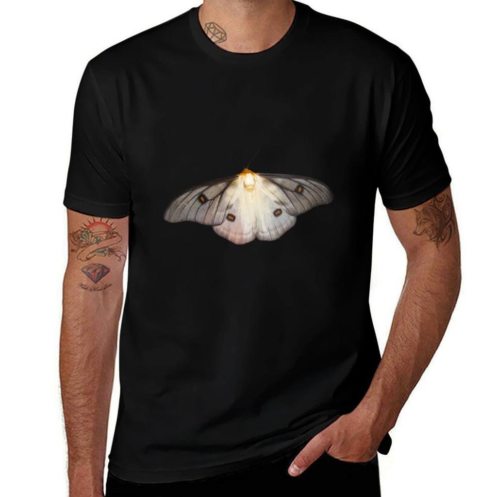 Ghostly Silkmoth Ceranchia Apollina Tshirt Dry Fit Athletic Short Sleeve Shirt