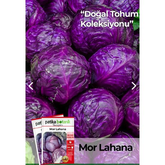 

800 семян Ancestral Local Red (ПУРПУРНЫЙ) Капуста