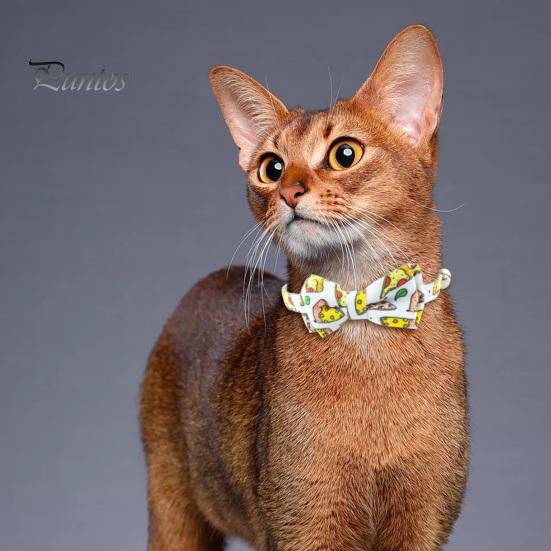 Nastavitelný obojek pro domácí mazlíčky s nerezovou bezpečnostní přezkou zvonek Roztomilý design motýlka Tkanina na krk s motivem jídla pro malé a střední psy