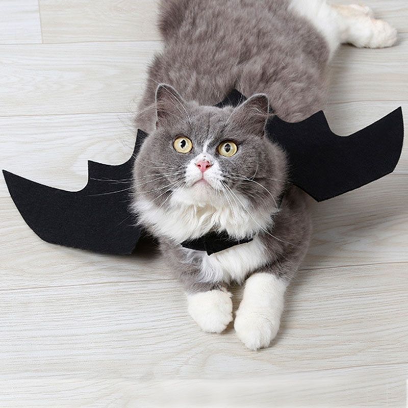 Kitten Puppy Dogs Puppy Bat Wing Halloween Party Dog Cosplay Costume Cat Clothes Bat Wing Pet Accessories