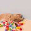 Interactive Launch Training Cat Toys Creative Kittens Mini Pompoms Games Stretch Plush Ball Toys Cat Supplies Pet Acssories