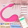 Fernbedienbarer tragbarer Vibrator für Frauen - Leise, Stark und Diskret