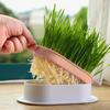 Pet Cat Sprout Dish Growing Pot Tray Reus Hydroponic Cat Planting Box Hydroponic Soilless Planting Cat Grass Pot for Easy Growth
