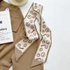 Long silk scarf, high-end new versatile hair tie streamer, atmosphere ribbon, spring and summer decorative scarf, tied bag streamer