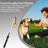 Cães – Produtos para treino de animais