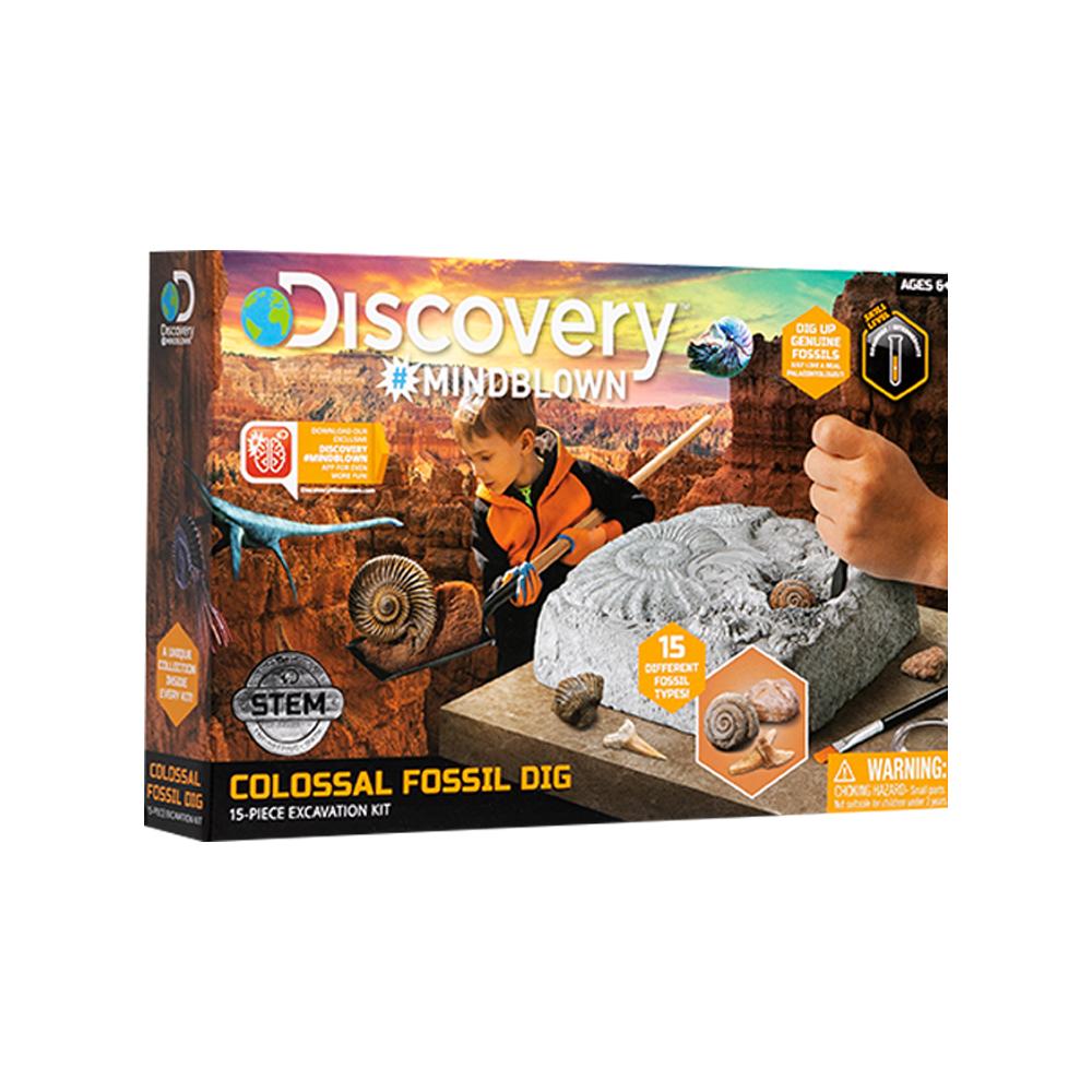[toytron] Toytron Discovery Ancient Fossil Dig Kit