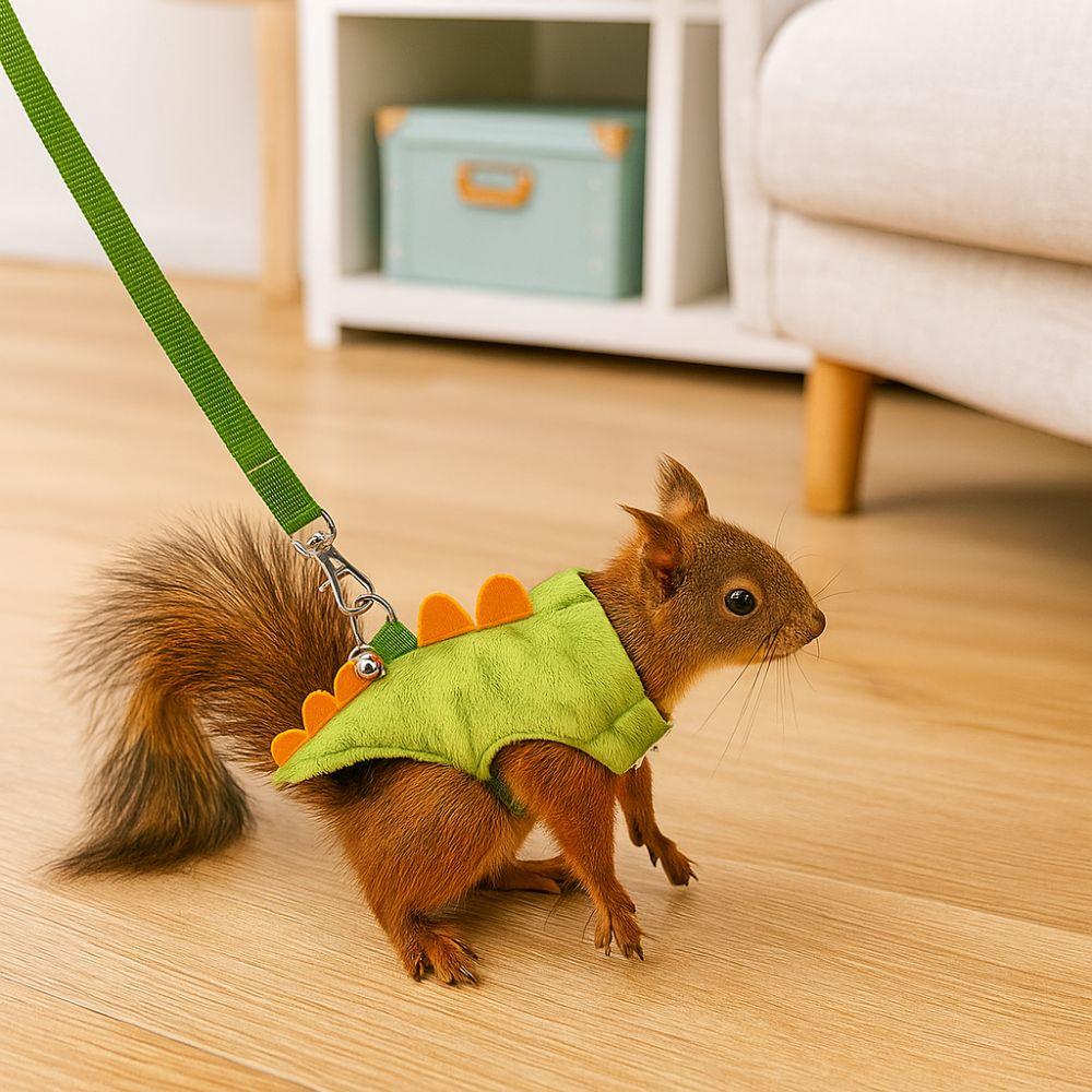 Kreskówkowy Szelki Kamizelka Fretka Wzór Smoka Świnka Morska Kamizelka Bezpieczeństwa Uroczy Pasek Piersiowy Chomika Spacerowy