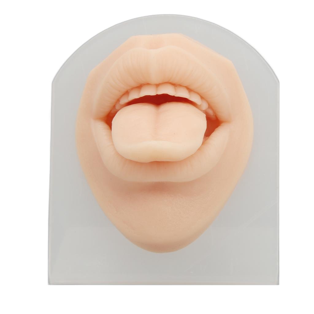 3D Soft Silicone Tongue Mouth Model with Stand Reusable Jewelry Display Tongue Model for Piercing Practice