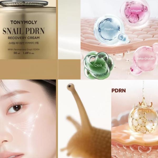 TONYMOLY Snail PDRN Recovery Cream 50ml