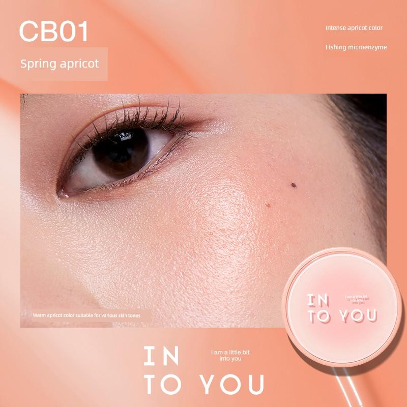 Upgrade 2.0! into You Cushion Blush Cream Water Gloss Sunscreen Blush Palette Hot-Selling Affordable Mud Color 2026 New Model