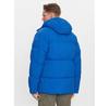 Winter Jacket Didriksons Hilmer 504240, Blue, Standard Fit