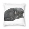 Grey Cat Sleeping Square Pillowcase Polyester Linen Velvet Pattern Zip Decor Throw Pillow Case Sofa Cushion Cover