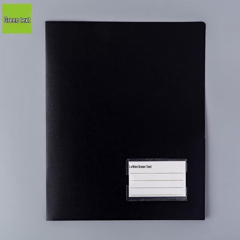Green Stationery Frosted Double Pocket File Folder