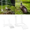 Turtle Basking Platform Turtle Floating Island Aquariums Island Climbings Turtle Ladder Aquariums Accessories Decoration