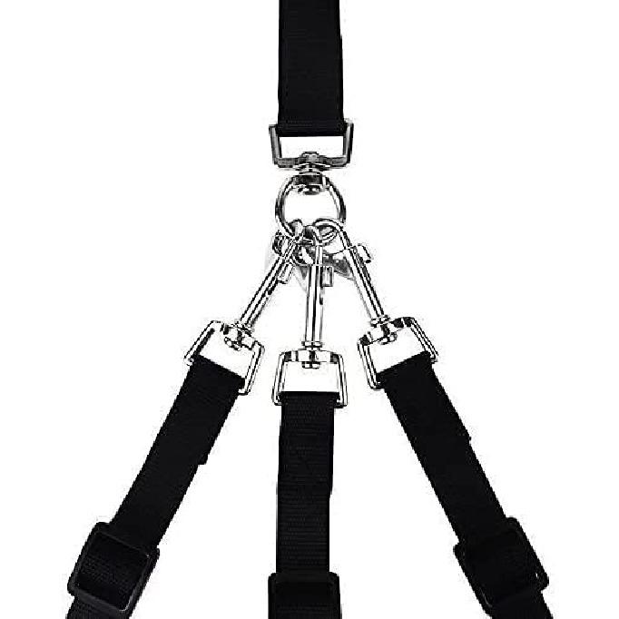 3 Way Dog Leash + a Collapsible Travel Bowl, Nylon Adjustable Coupler No Tangle Detachable 3 In 1 Multiple Dog Pet Cat Puppy Leash with Soft Padded